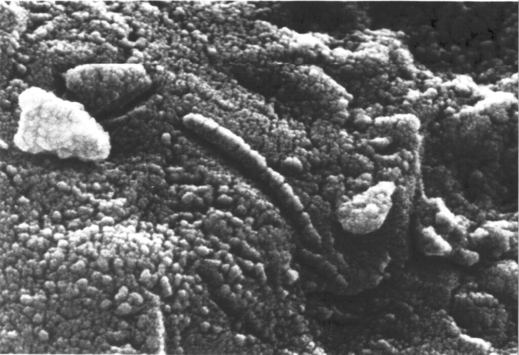 ALH84001_structures