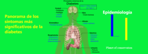 diabetes-millum-1-300x111 Usuario