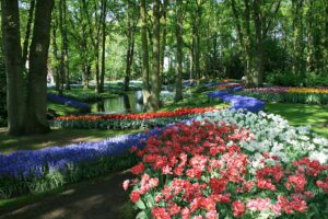 jardines-de-keukenhof-300x200 Usuario
