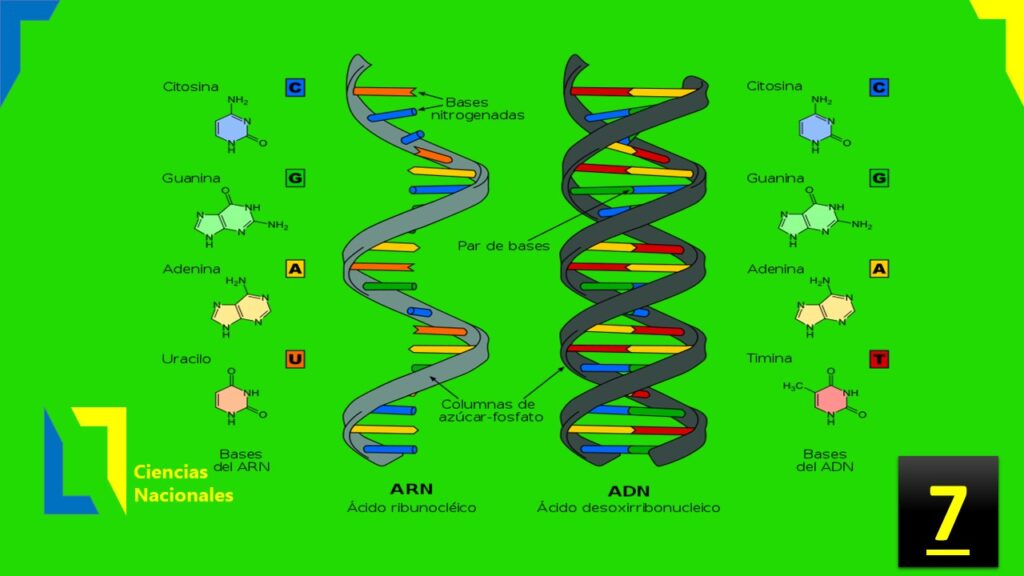 100 descubrimientos cientificos parte 7