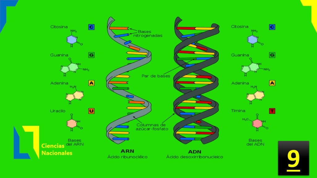 100 descubrimientos cientificos parte 9