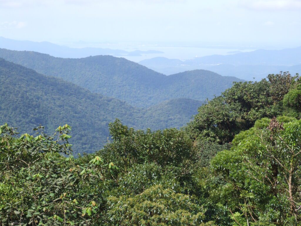 Baía_de_Antonina_vista_da_Serra_do_Mar2