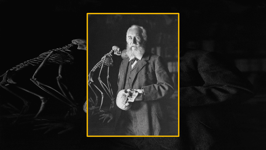 Ernst Haeckel