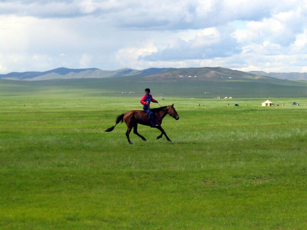 Naadam_rider_2