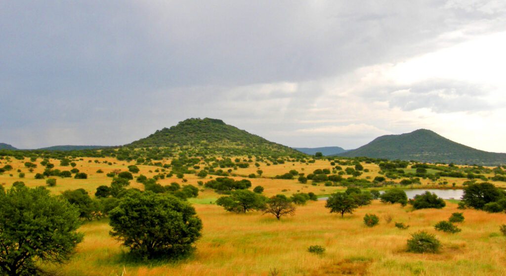 Upland_South_Africa_Savanna
