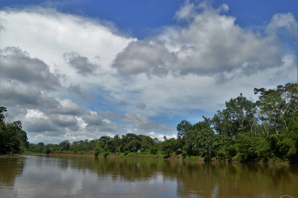 paisajes naturales (6)