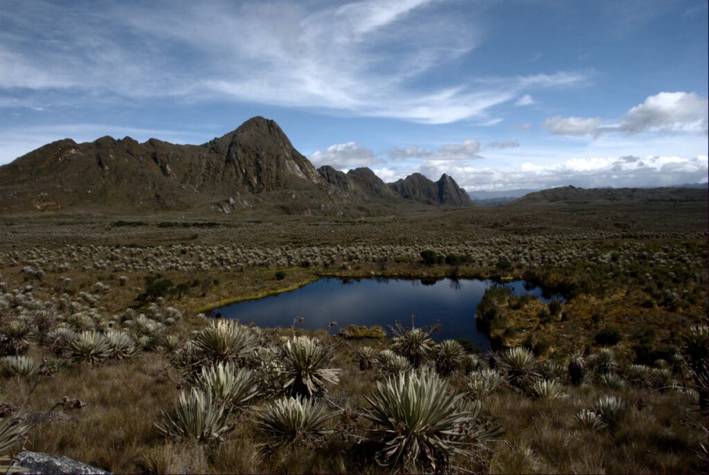 Páramo_de_Sumapaz