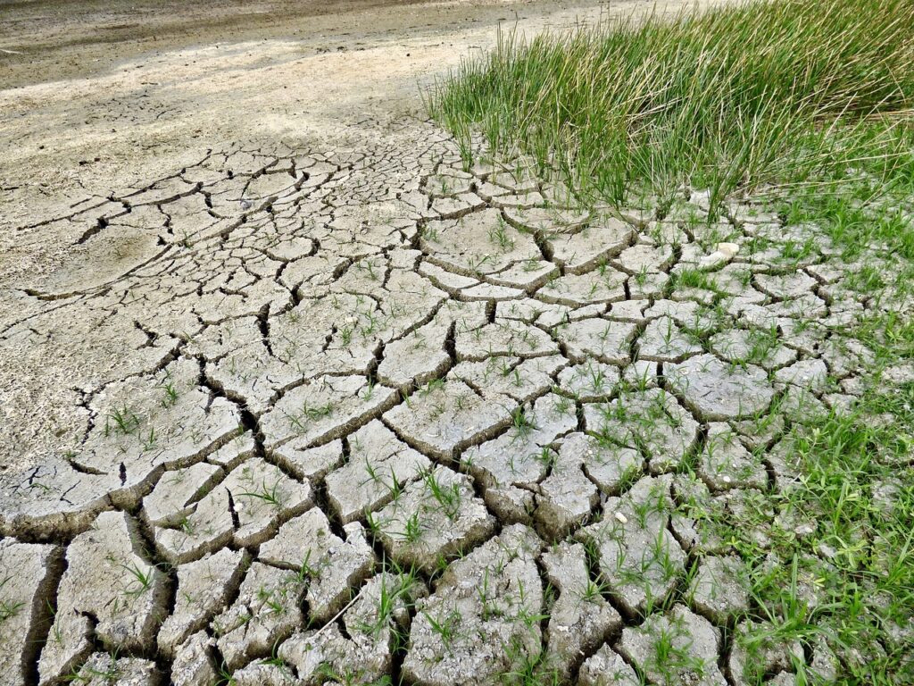 climate-change-gfb19fd3d7_1280
