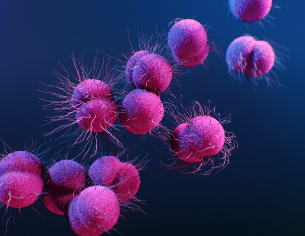 cdc-nwVHmuVpFTs-unsplash