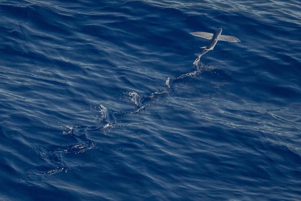 sea-water-nature-ocean-horizon-wave-1058285-pxhere.com