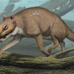 Descubren 93 tablillas cuneiformes del Imperio asirio en la Región del Kurdistán