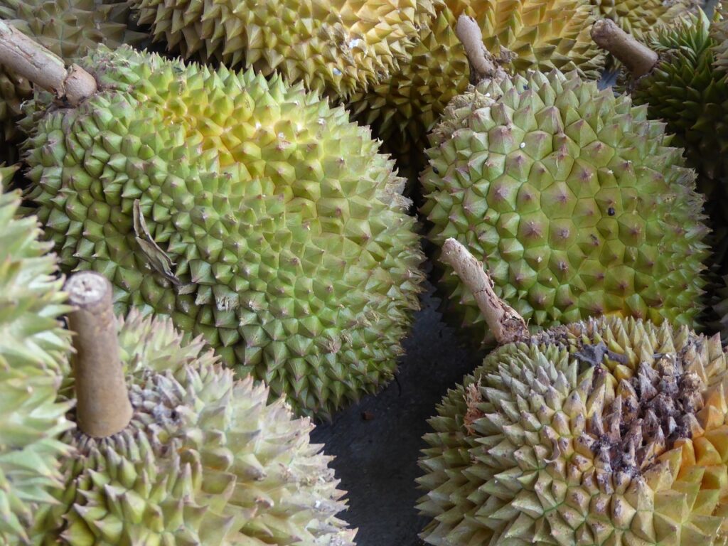 durian-1033485_1280