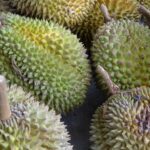 Vídeo: Presentan el primer  prototipo de una motocicleta voladora