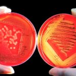 Las 7 imágenes que demuestran que el planeta Marte no es muy diferente de la Tierra