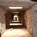 Científicos descubren que las plantas también pueden manifestar su dolor al ser maltratadas