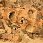 Este estudio muestra el ¿por qué las mujeres tienen más problemas autoinmunes?