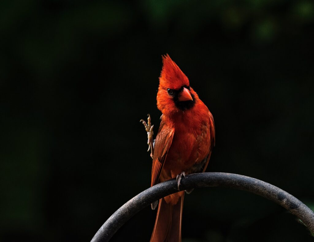 bruce-jastrow-l1H0sF8-v0k-unsplash