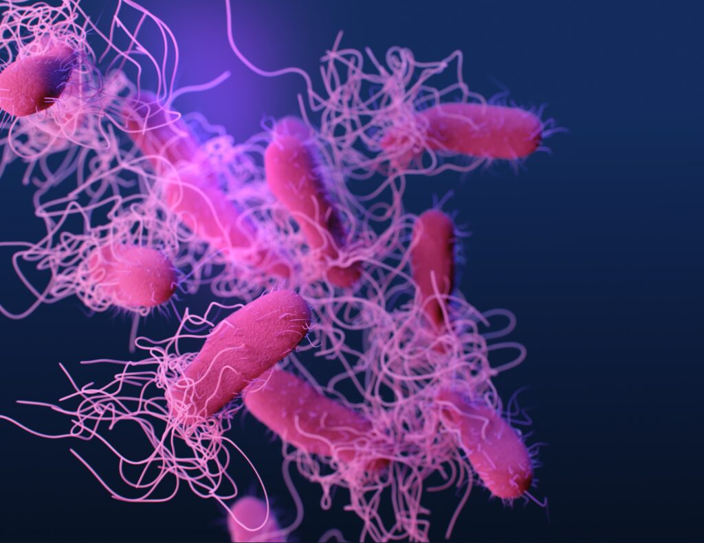 cáncer