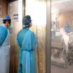 Frutas de sudamericanas y su aplicación en la alimentación