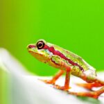 Estados Unidos supera las 71 mil muertes por Covid-19 en medio del final de la cuarentena