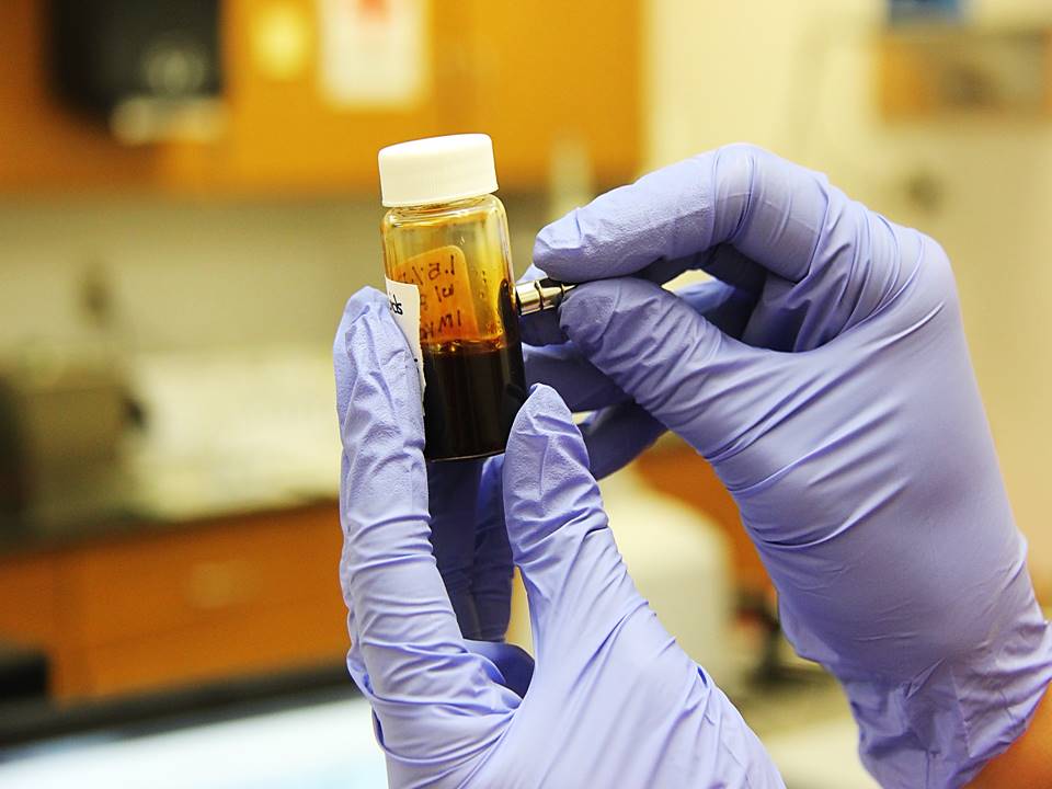 Descubren anticuerpos que bloquean las infecciones por el virus SARS-CoV-2 en las células humanas