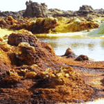 Río Hamza, un cause subterráneo que fluye en la cuenca del Amazonas