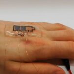 Descubren en Madagascar el reptil más pequeño del mundo y puede estar en peligro crítico de extinción