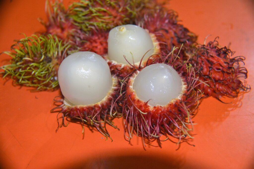 Nephelium lappaceum. Créditos: Ciencias Nacionales