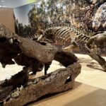 Rafflesia Arnoldii, la planta con la flor más grande del mundo esta en grave peligro de extinción