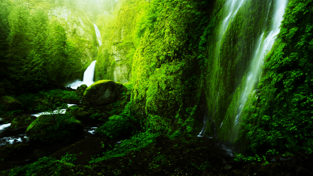 Oneonta Gorge 2
