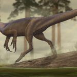 Este sería el verdadero rostro de un hombre de neandertal encontrado en un poblado de Francia