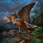 Descubren cinco nuevas especies de reptiles