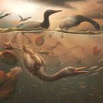 Descubren siete increíbles nuevas especies de animales