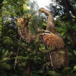 Tres nuevas especies de ranas de torrente descubiertas en ecuador