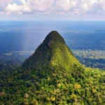 Siete especies de animales que podrían desaparecer por el calentamiento global