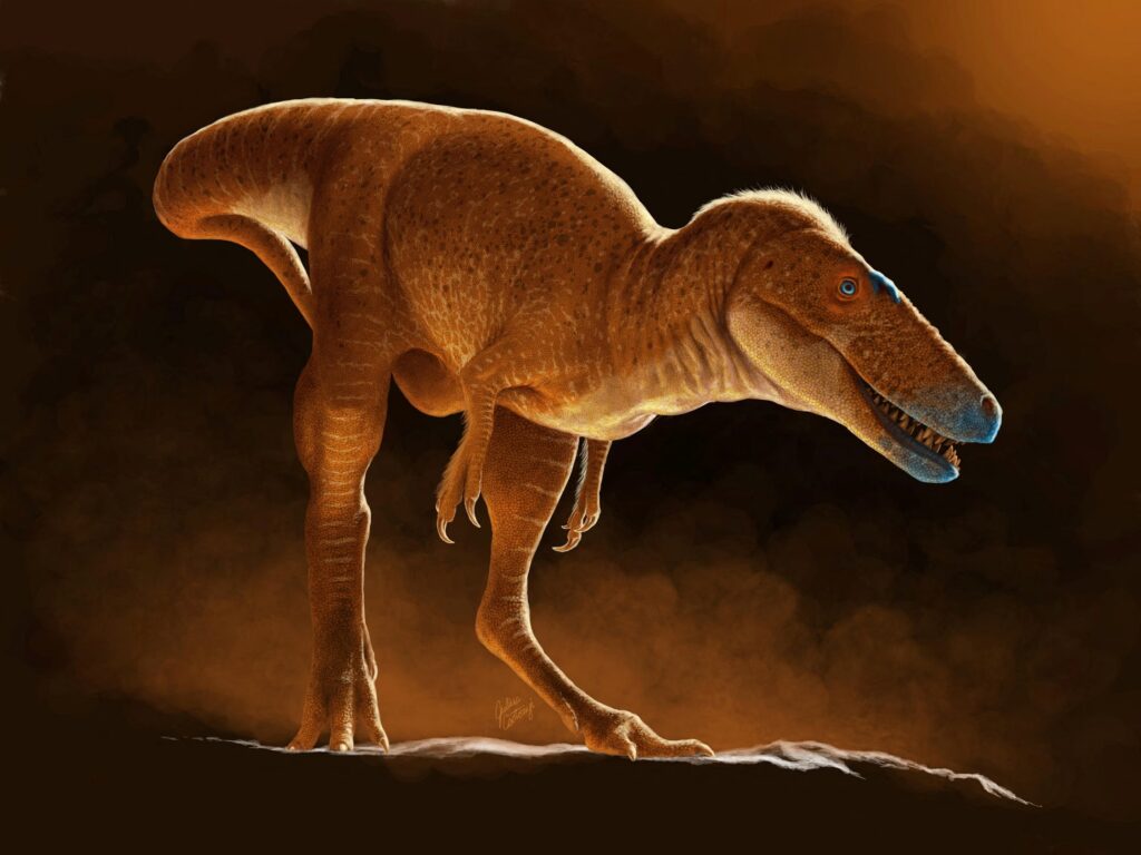 Khankhuuluu_mongoliensis-novataxa_2025-Voris_Zelenitsky_Kobayashi__