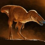 Estas evidencias confirman que el naufragio más rico del mundo se encuentra en aguas de Colombia