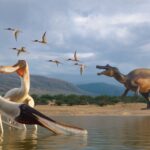 Una ballena casi desconocida aparece viva por primera vez: el misterio del océano que tomó décadas en resolverse