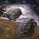 Cómo la civilización Más antigua de américa superó una gran catástrofe climática