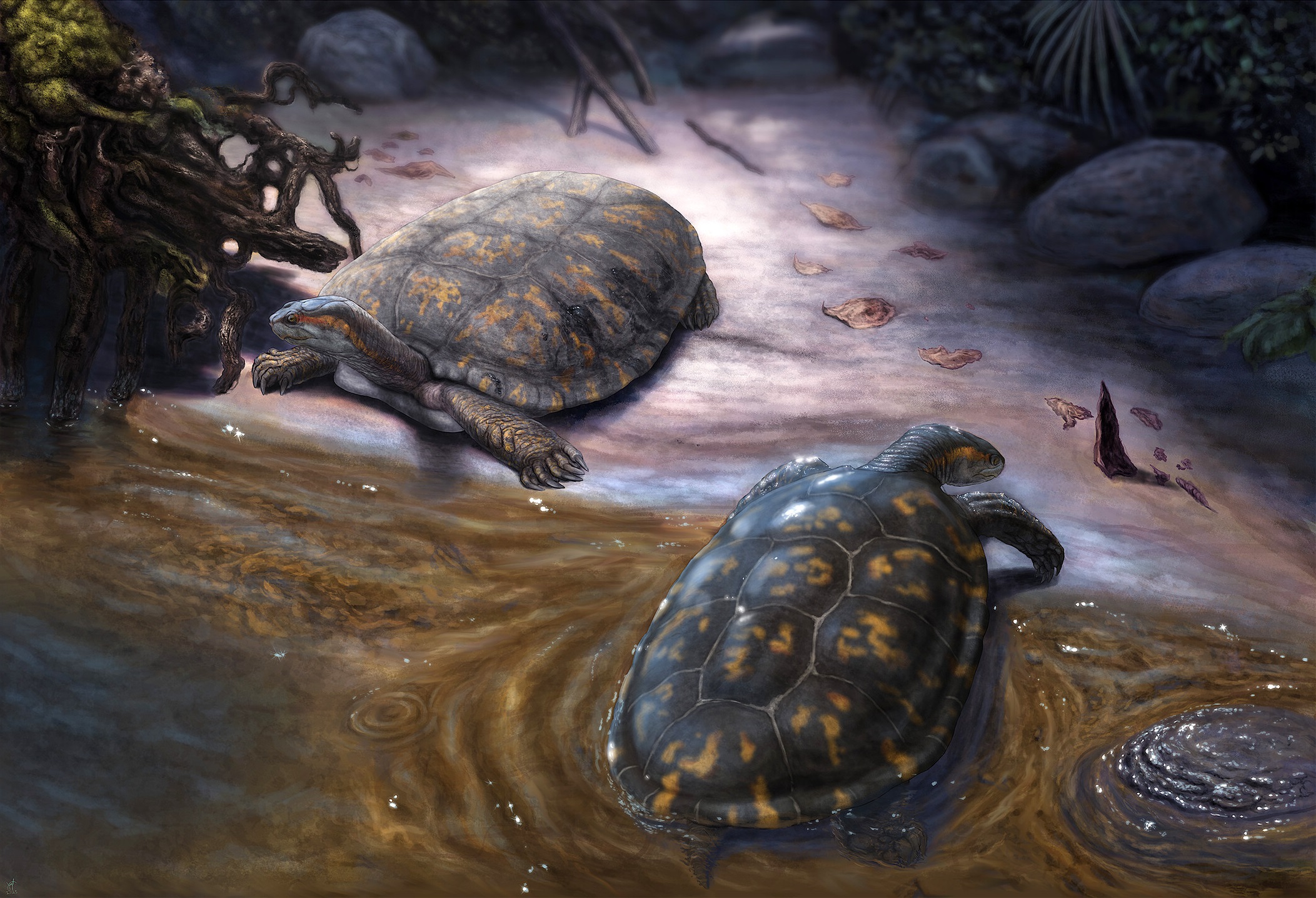 Reconstrucción paleoartística del podocnemídido Shakiremys colombiana gen. et sp. nov. y el ecosistema fluvial. Ilustración de Juan Giraldo.
