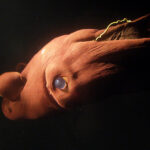 ¿Una cura funcional para el VIH? Nuevos hallazgos iluminan el camino