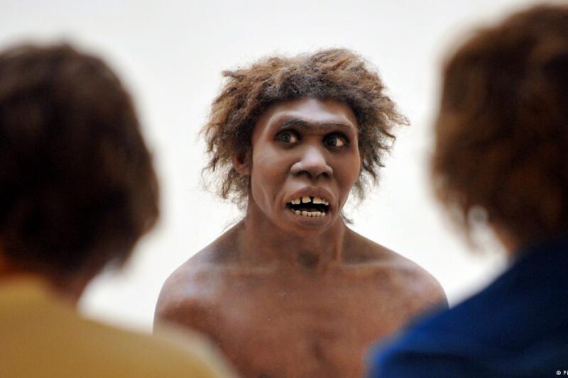 Reconstruyen el rostro del “Homo erectus”: nuevas claves sobre las primeras migraciones humanas