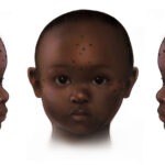 Un depredador olvidado del Himalaya emerge del pasado