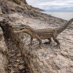 Betoma: la ciudad invisible que redefine la grandeza tairona