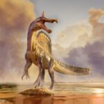 Descubren 27 nuevas especies para la ciencia alrededor del mundo y algunas tienen características sorprendentes