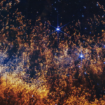 En los antiguos lagos de Zealandia, huesos olvidados revelan un linaje perdido de gansos que desafía la historia evolutiva del hemisferio sur