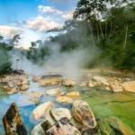 Cuando una especie fósil de hace 6.000 años vuelve a la vida: el redescubrimiento de la zarigüeya pigmea de dedos largos