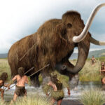 El guardián que no llegó a crecer: la historia de un tiburón martillo en el Pacífico colombiano