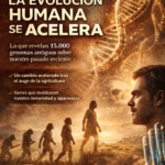 Un pequeño pez, un gran misterio: cómo regenera órganos en tiempo récord