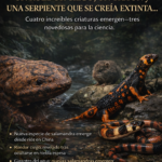 Capibaras en Chile: el hallazgo que desafía lo que creíamos saber